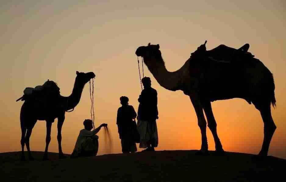 The Mama'S Resort & Camp Jaisalmer Luaran gambar